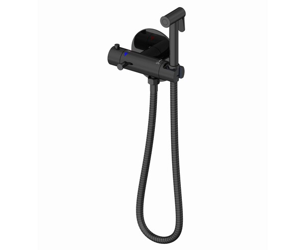 G7290-6 Гигиенический душ со смесителем GAPPO (черный)