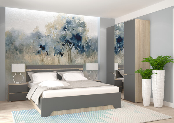 ФАСАД Спальня Анталия (графит) (2 места)