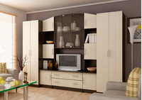 Гостиная Макарена ЛДСП венге/дуб (10 мест)