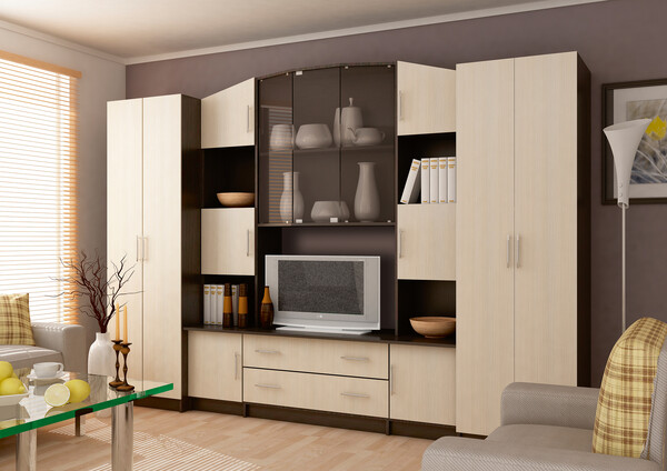 Гостиная Макарена ЛДСП венге/дуб (10 мест)