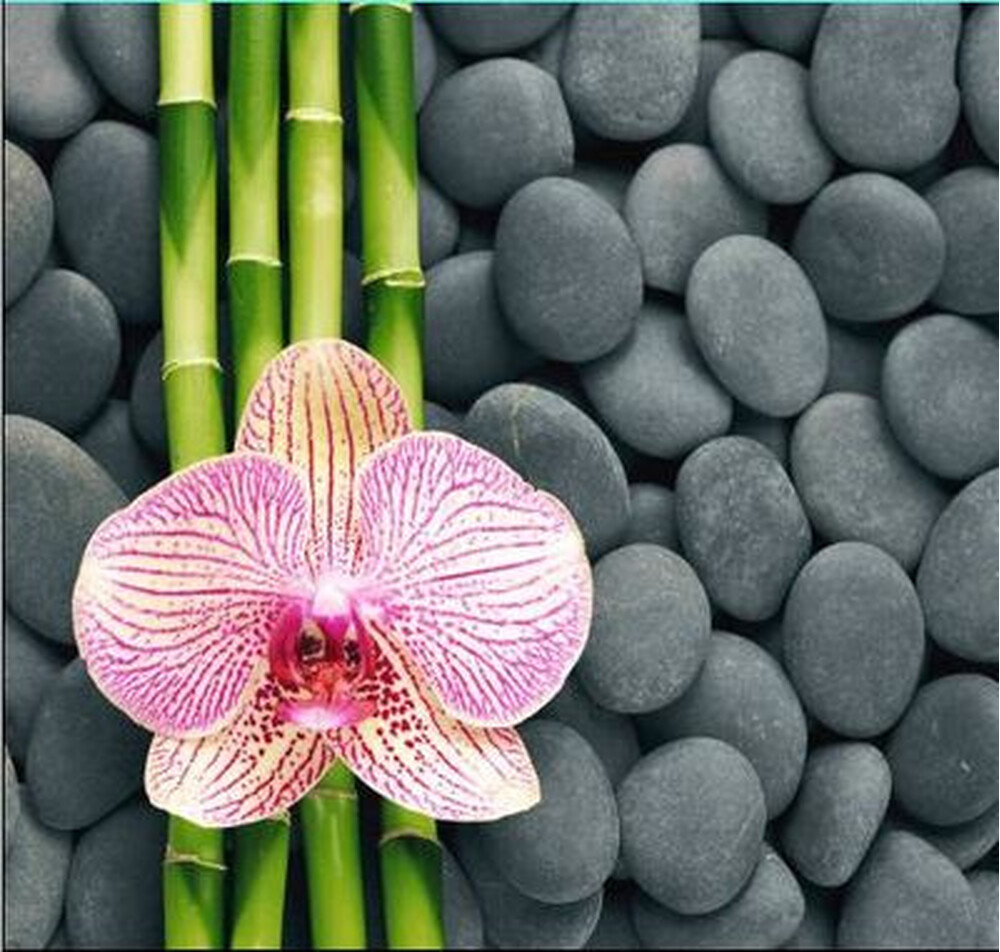 Штора д/ван "ZALEL" ФОТОПРИНТ 180х180 YGL Z-004 Pink Floyd С КОЛЬЦАМИ