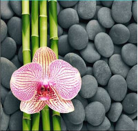 Штора д/ван "ZALEL" ФОТОПРИНТ 180х180 YGL Z-004 Pink Floyd С КОЛЬЦАМИ