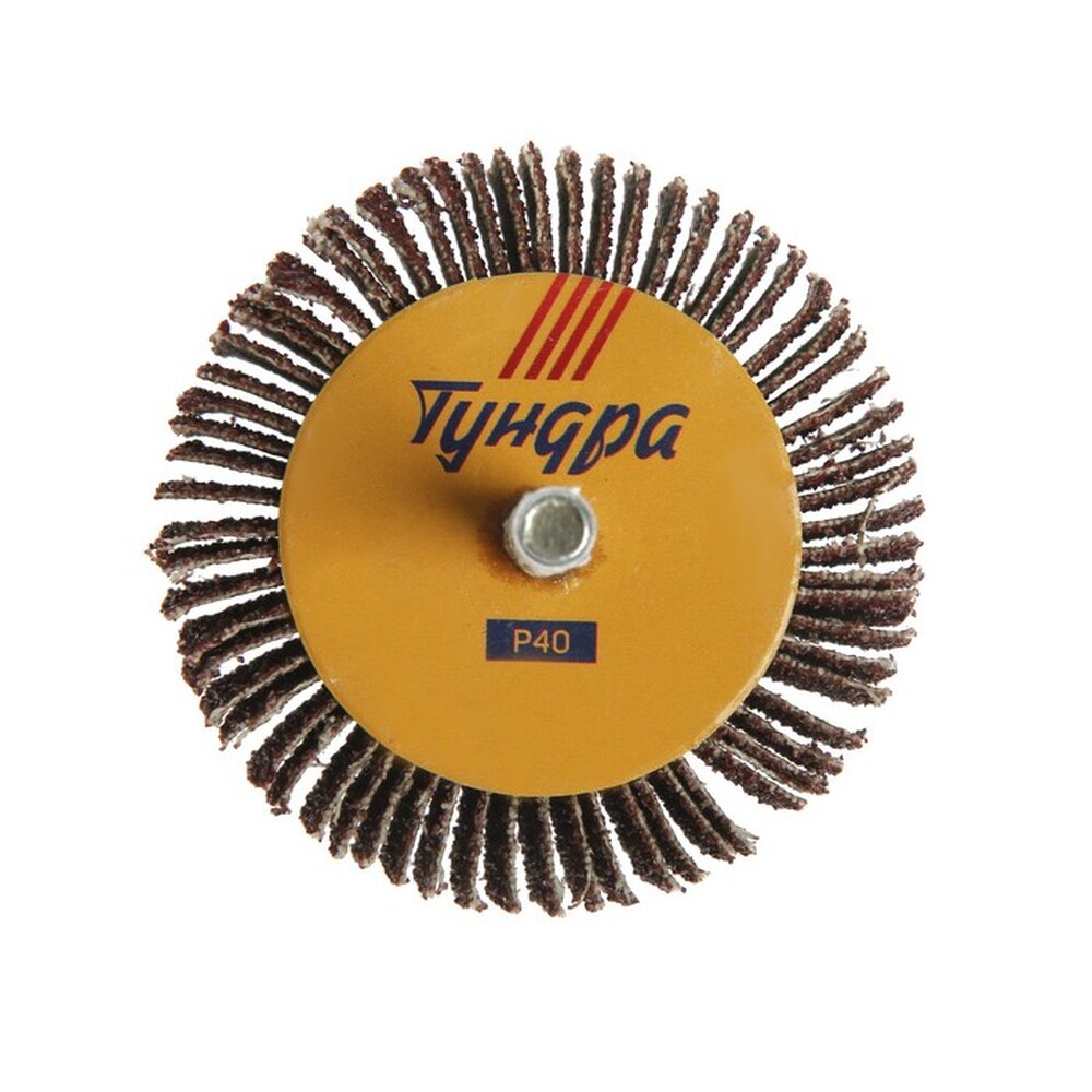 Круг лепестковый радиальный ТУНДРА, 60 х 20 х 6 мм, Р40 1875462