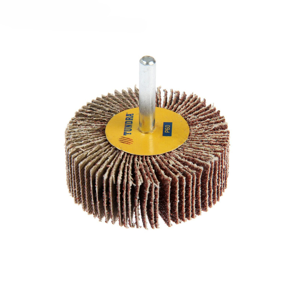 Круг лепестковый радиальный ТУНДРА, 60 х 20 х 6 мм, Р60 1875463