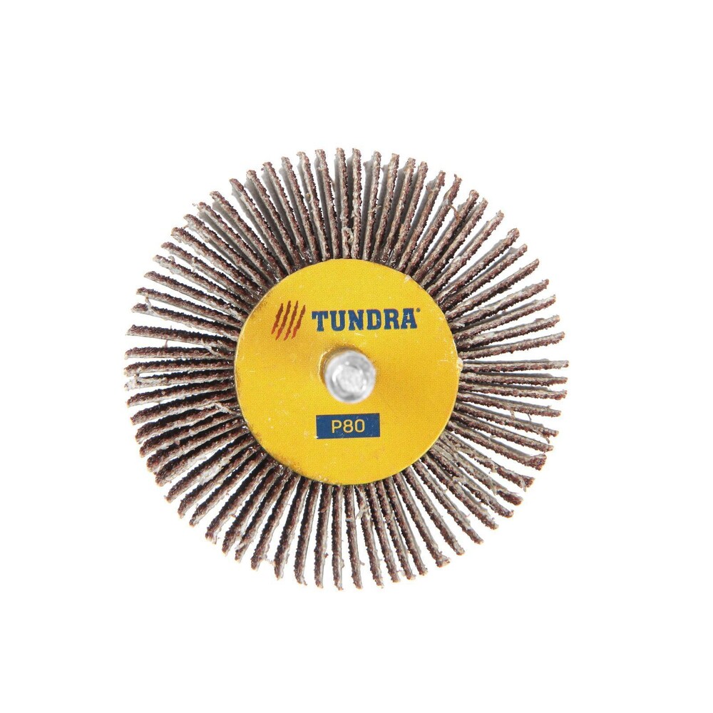 Круг лепестковый радиальный ТУНДРА, 60 х 30 х 6 мм, Р80 1875467
