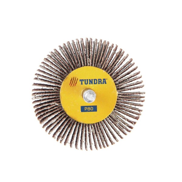 Круг лепестковый радиальный ТУНДРА, 60 х 30 х 6 мм, Р80 1875467