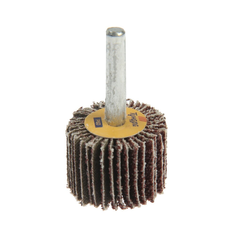 Круг лепестковый радиальный ТУНДРА, 30 х 20 х 6 мм, Р60 5162349