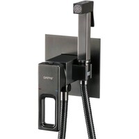 G7217-9 Гигиенический душ GAPPO встраиваемый (оружейная сталь)