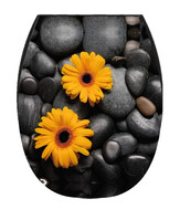 Сиденье д/унитаза жесткое ОКЕАН LUX с рис. "Гербера-Мираж" с детской накладкой