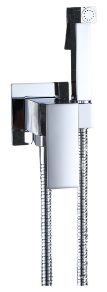 Смеситель c гигиеническим душем встраиваемый RUSH Thira (TR3635-99), (хром)