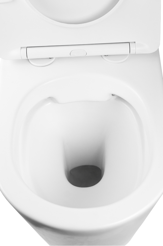  Унитаз подвесной безободковый HOLLER SHELL MW (480*365*360мм, сиденье дюропласт, микролифт) белый матовый