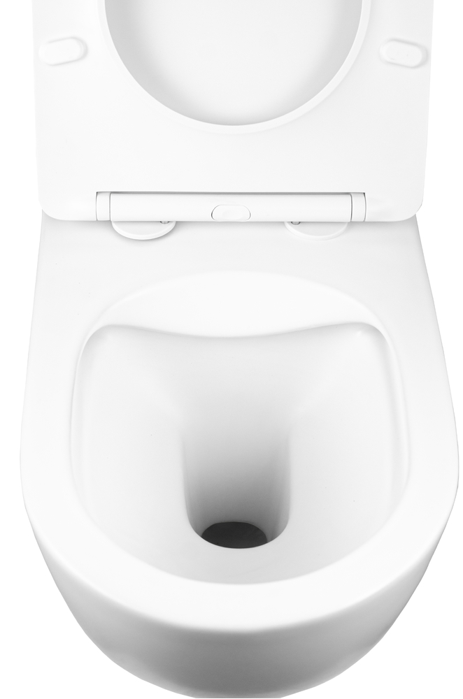  Унитаз подвесной безободковый HOLLER WALL MW (530*360*350мм, сиденье дюропласт, микролифт) белый матовый