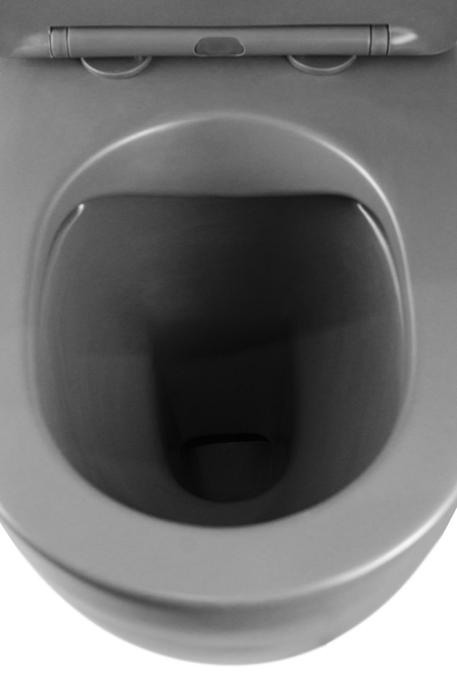 Унитаз-моноблок безободковый HOLLER MONO_MDG (685*370*825мм, сиденье дюропласт с микролифтом, арматура 2-х режимная)  (1 место) серый матовый