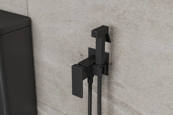 Смеситель c гигиеническим душем встраиваемый RUSH Thira (TR3635-99Black)