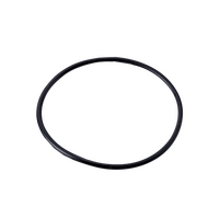 Уплотнительное кольцо колбы ВМ Барьер А105Р00Р (7854)