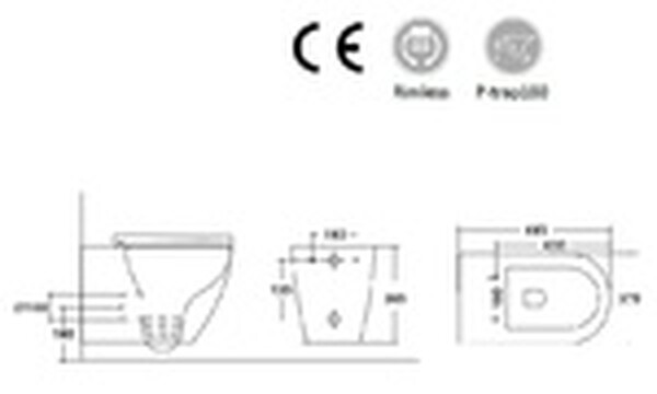 Унитаз подвесной безободковый HOLLER POINT BIDET  (485*370*365мм, сиденье дюропласт, микролифт) белый. со смесителем и функцией биде