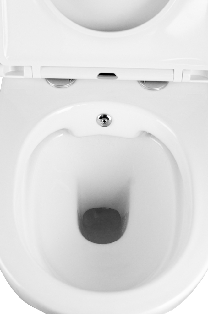 Унитаз подвесной безободковый HOLLER POINT BIDET  (485*370*365мм, сиденье дюропласт, микролифт) белый. со смесителем и функцией биде