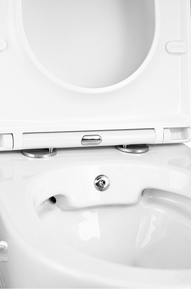  Унитаз подвесной безободковый HOLLER SHELL BIDET  (480*365*360мм, сиденье дюропласт, микролифт) белый. со смесителем и функцией биде