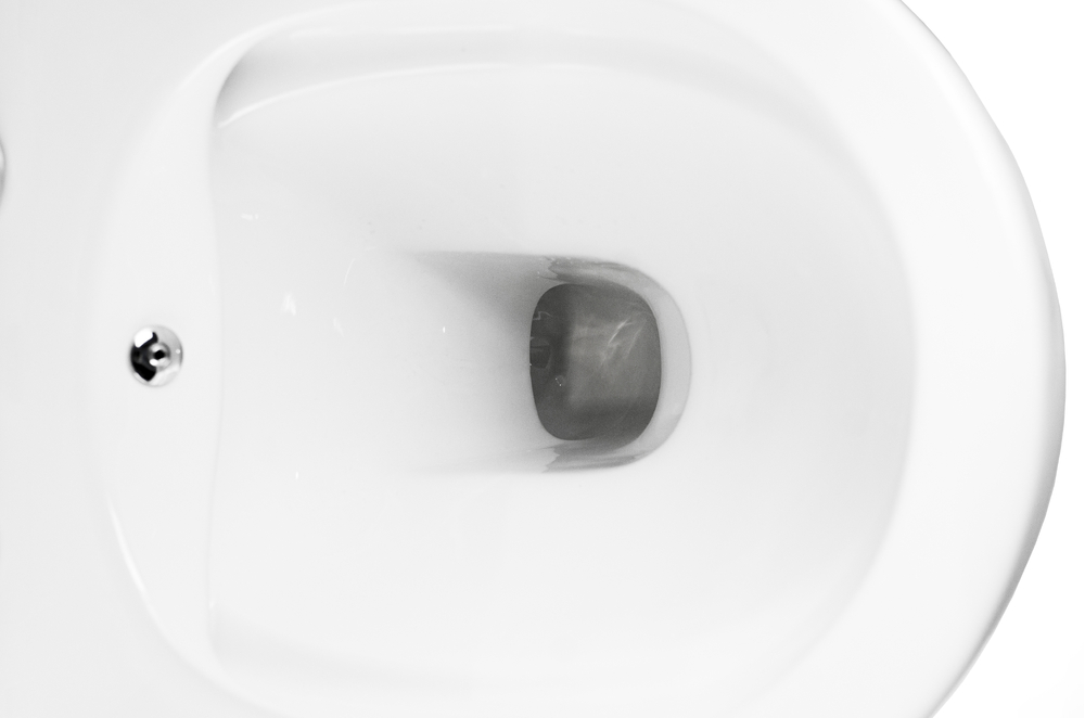  Унитаз подвесной безободковый HOLLER WALL BIDET  (530*360*350мм, сиденье дюропласт, микролифт) белый. со смесителем и функцией биде