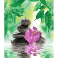 Штора д/ван "ZALEL" ФОТОПРИНТ 180х180 YGL DX-129 зелён.с кольцами ***