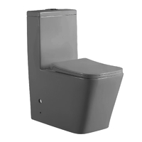 Унитаз-моноблок безободковый HOLLER ФОРТ DGA (665*345*805мм, сиденье дюропласт с микролифтом, арматура 2-х режимная)  (1 место) серый матовый