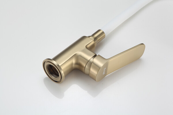 4462-3 Смеситель Кухня Frap d-35 на гайке (сатин золотой)