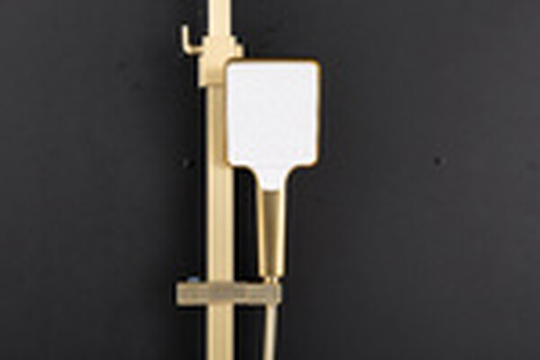 2490-3 Душевая система Frap со смесителем и тропическим душем (сатин золотой)