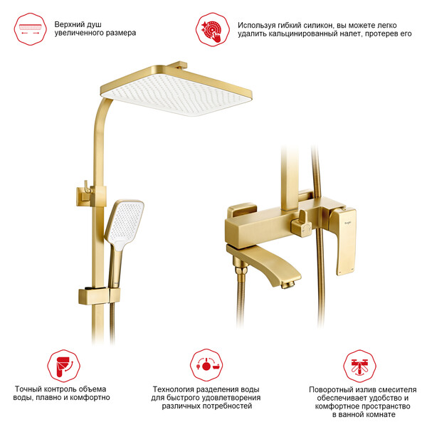 R01.24.03 Душевая система для ванны RAGLO (золотой сатин)