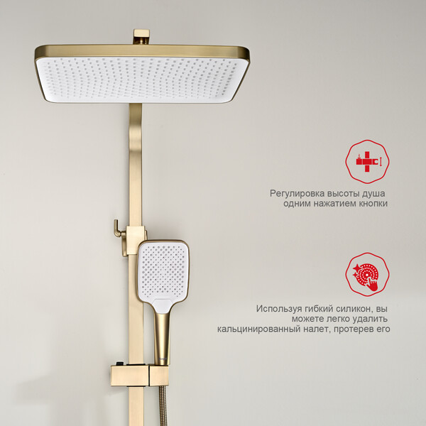 R01.24.03 Душевая система для ванны RAGLO (золотой сатин)