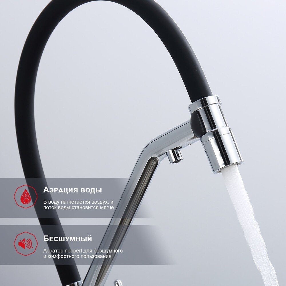 R80.62 Смеситель для кухни со съемным изливом на магните и подключением фильтра питьевой воды RAGLO (хром)