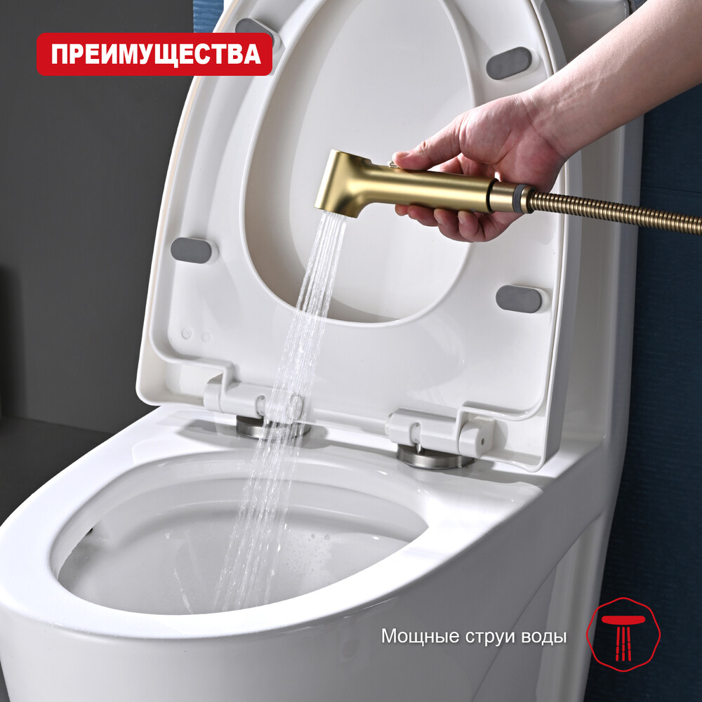 R460.05.03 Гигиеническая лейка RAGLO с клавишей регулировки воды (сатин золотой)