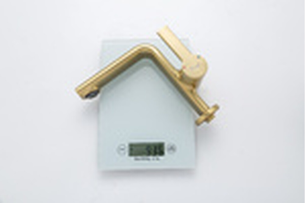 1088-3 Смеситель Тюльпан Frap. шар на гайке, (сатин золотой)