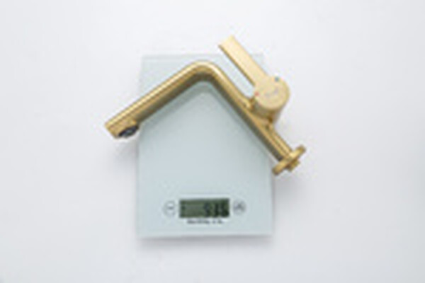 1088-3 Смеситель Тюльпан Frap. шар на гайке, (сатин золотой)