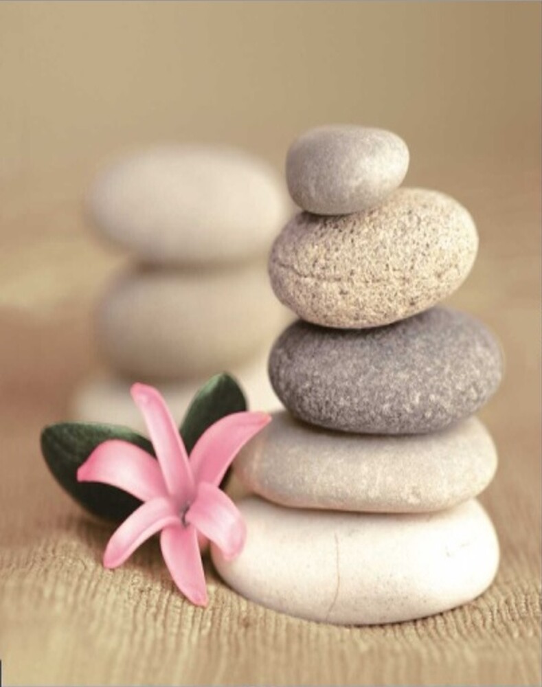 Штора д/ван "ZALEL" ФОТОПРИНТ 180х200 DX-094 камни спа с кольцами