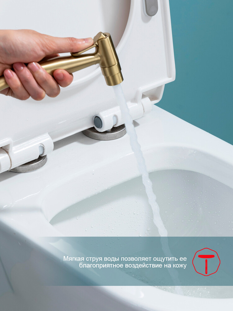 R07.52.03 Смеситель встраиваемый с гигиеническим душем RAGLO (золотой сатин)