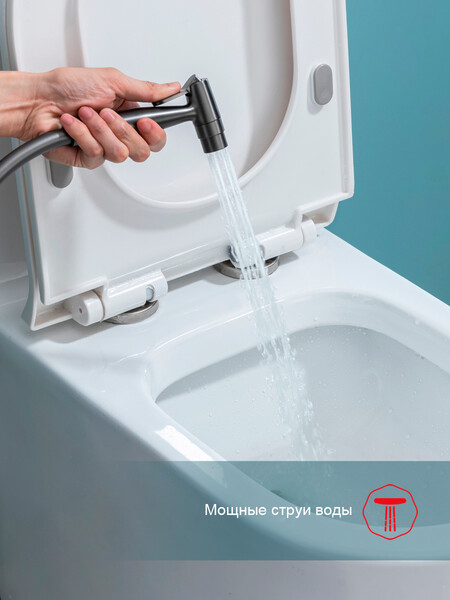 R07.52.09 Смеситель встраиваемый с гигиеническим душем RAGLO (графит)