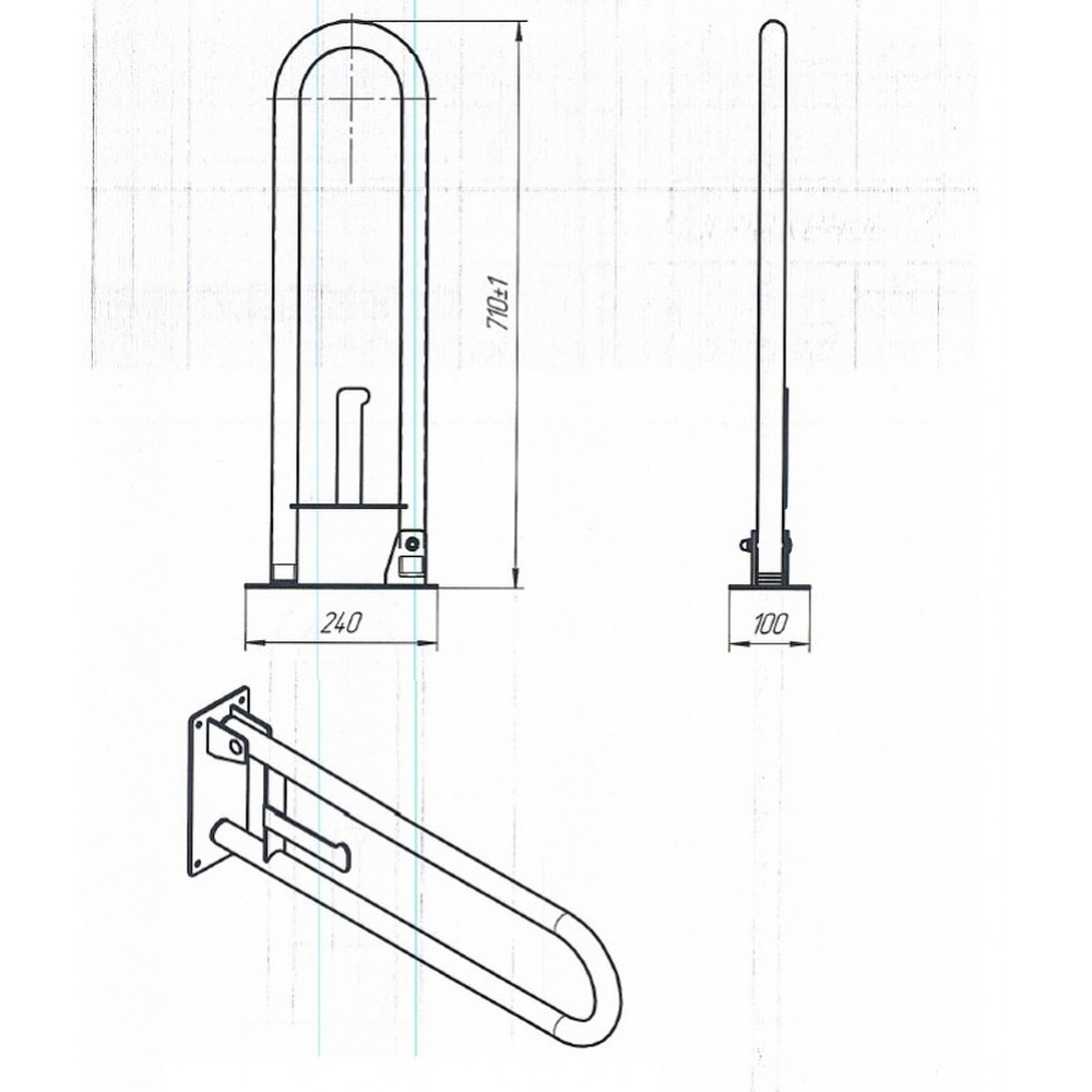 Поручень откидной  нерж. с фиксатором и бумагодержателем (крепление к стене)