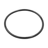 Уплотнительное кольцо для корпусов магистральных фильтров BigBlue (силикон)