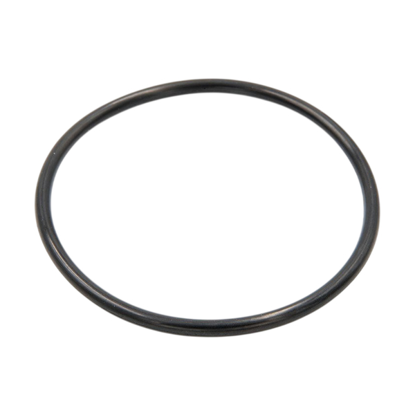 Уплотнительное кольцо для корпусов магистральных фильтров BigBlue (силикон)