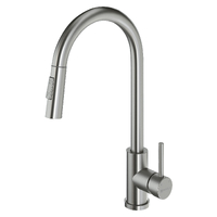 Смеситель д/к с выдвиж.изливом GROSS AQUA Сталь (Neosteel) 3140609SS