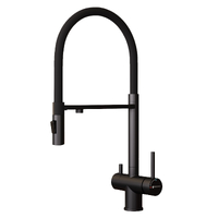 Смеситель д/к.под.к фильт.с гиб.из. GROSS AQUA Сталь (Neosteel) GA3188611SSMBB