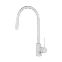 Смеситель д/кухни GROSS AQUA Волна (ColorFlex Matt White) 3241508MW