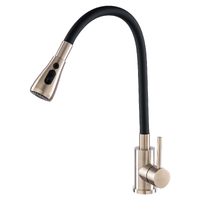 Смеситель для кухни с гибк.изливом GROSS AQUA Сталь (Neosteel) 3241609SSB
