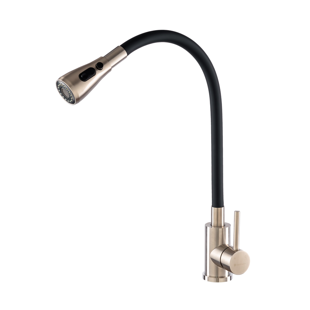Смеситель для кухни с гибк.изливом GROSS AQUA Сталь (Neosteel) 3241609SSB
