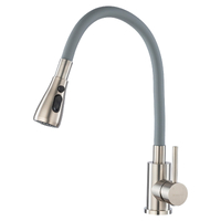 Смеситель для кухни с гибк.изливом GROSS AQUA Сталь (Neosteel) 3241609SSG