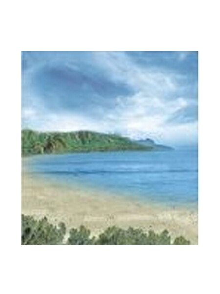 Штора д/ван "ZALEL" ФОТОПРИНТ 180х180 YGL DX-047