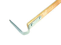 Плоскорез малый с черенком