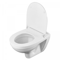 Чаша подвесного унитаза Бореаль 1WH302253