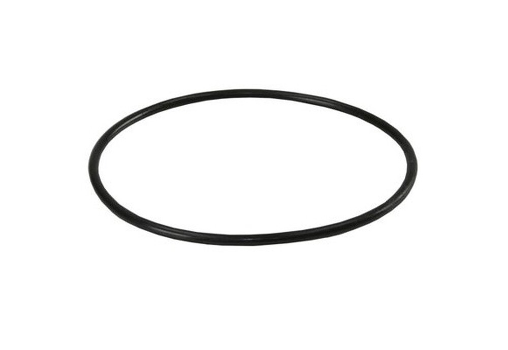 Уплотнительное кольцо для корпусов магистральных фильтров BigBlue