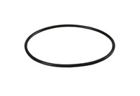 Уплотнительное кольцо для корпусов магистральных фильтров BigBlue